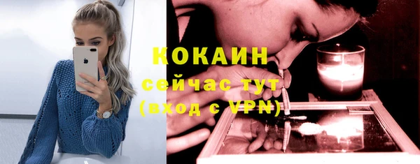 метамфетамин Ельня