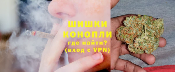 spice Елизово