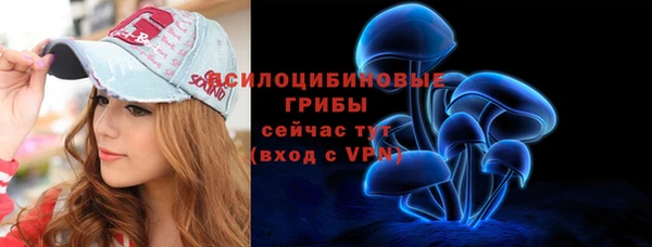 spice Елизово