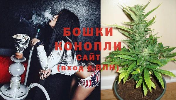 spice Елизово