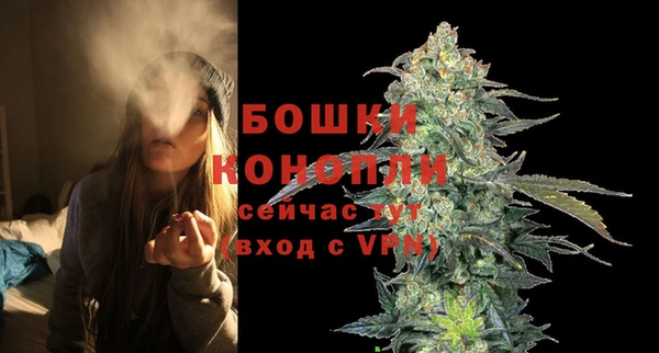 spice Елизово