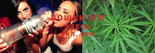 метамфетамин Ельня